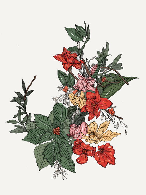 花卉插畫